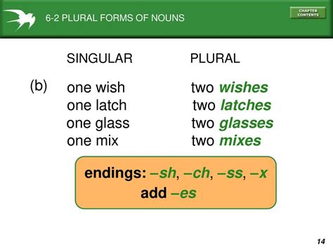 plural of latch